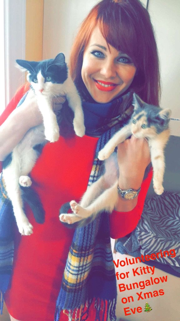 Feeding the homeless cats (and playing with kittens) @kittybungalow today on my snapchat. https://t.co/DVv8xNpSo3