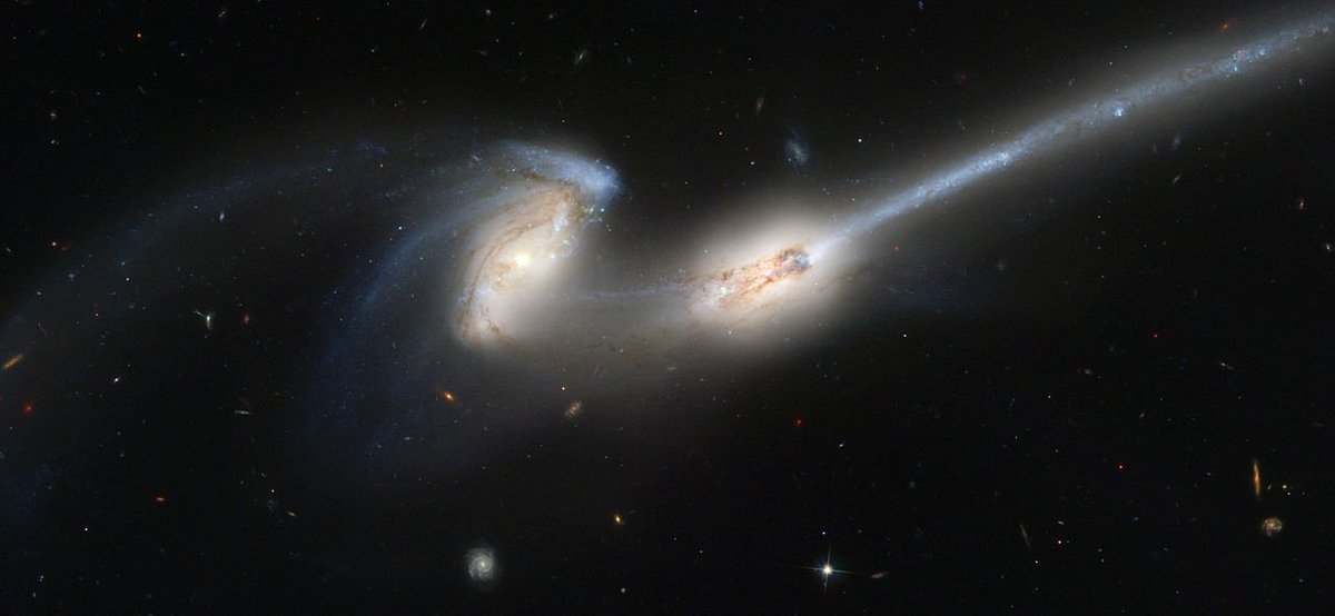 test ツイッターメディア - 【マウス銀河（NGC 4676）】かみのけ座銀河団にある2つの渦巻銀河で、約2億9000万光年離れており、現在、衝突と融合の過程にあり、将来的には融合すると考えられている。名前は、銀河潮汐力により形成された長い尾に由来する。https://t.co/v5zQAgrZz2