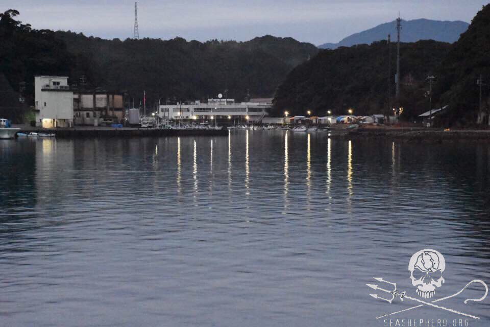 RT @CoveGuardians: 0645am: Another day of no-show by the hunters gives us a BLUE COVE DAY! #tweet4taiji https://t.co/CKqnlvp5kx