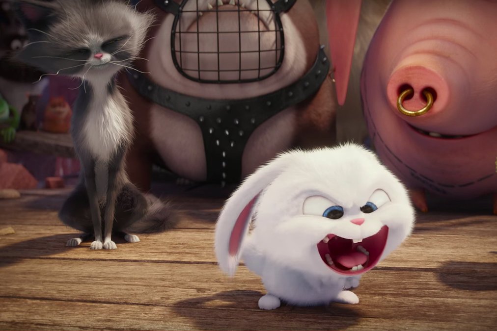 watch the secret life of pets movie watch the secret life of pets movie
