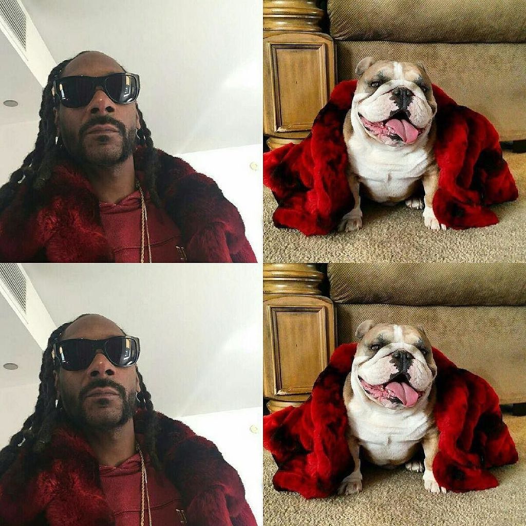 Who wore it best. Mason? Or Dogg ? https://t.co/eIsWyyimqk