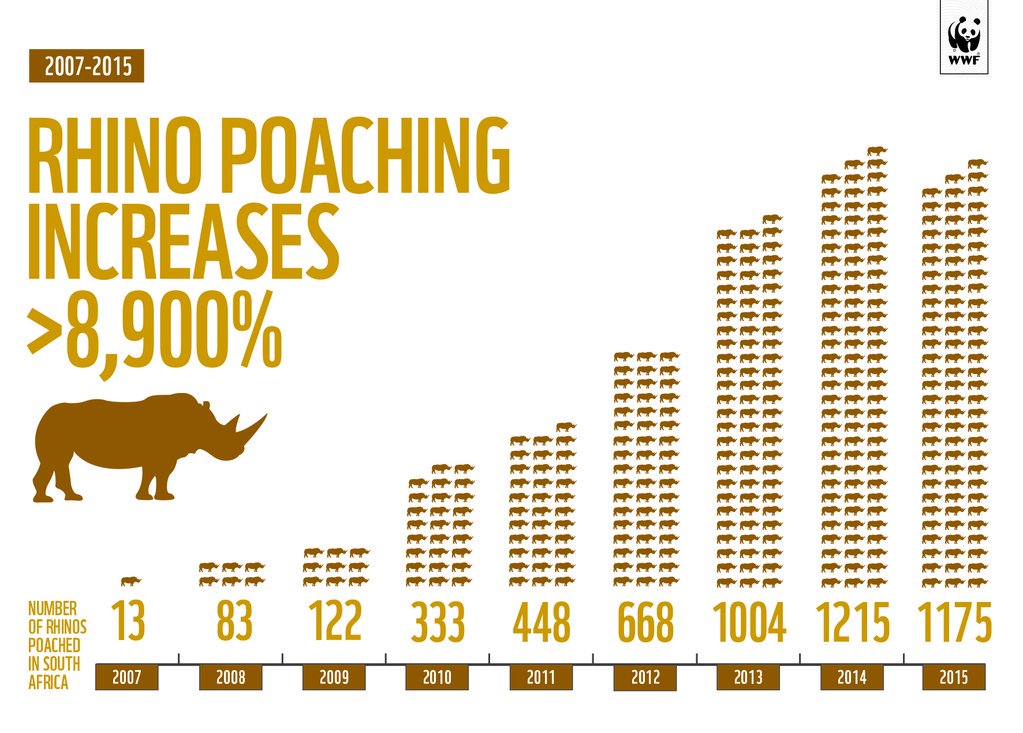 RT @World_Wildlife: Alarming rhino poaching rates reported in Southern Africa: https://t.co/AgUbcvIAqE https://t.co/5nlNpG055G