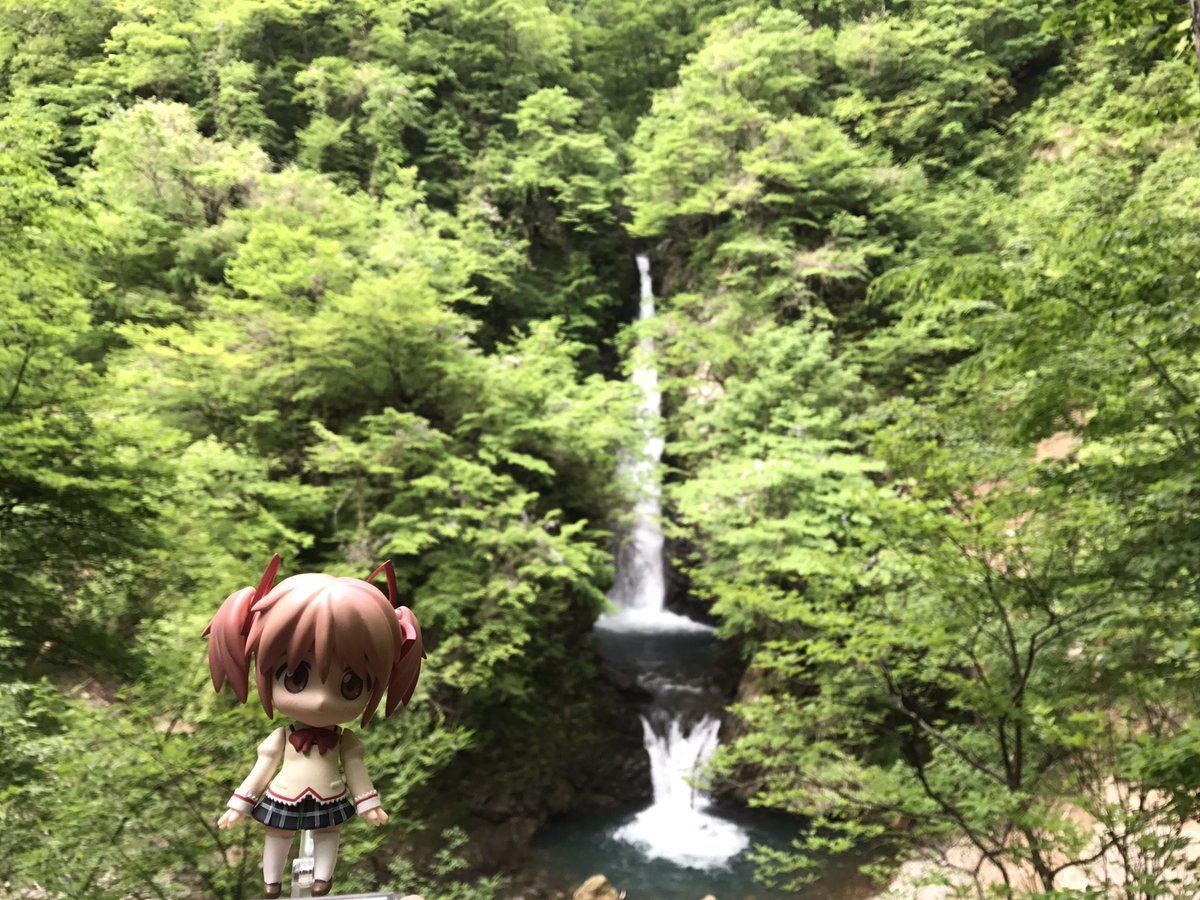 琴浦さんの提供。 琴浦さんの提供。
