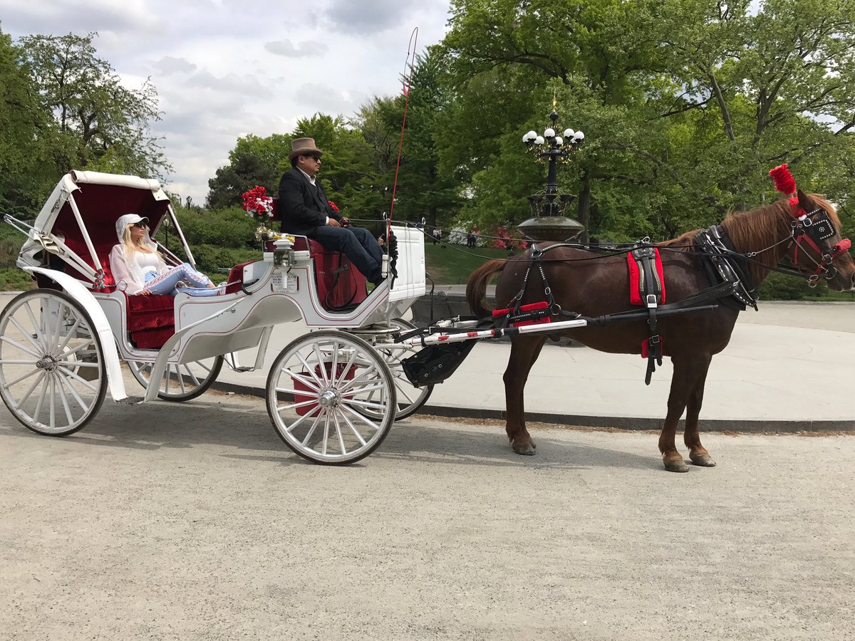 #CentralPark #NewYork ???????? https://t.co/4Nb32f3vhO