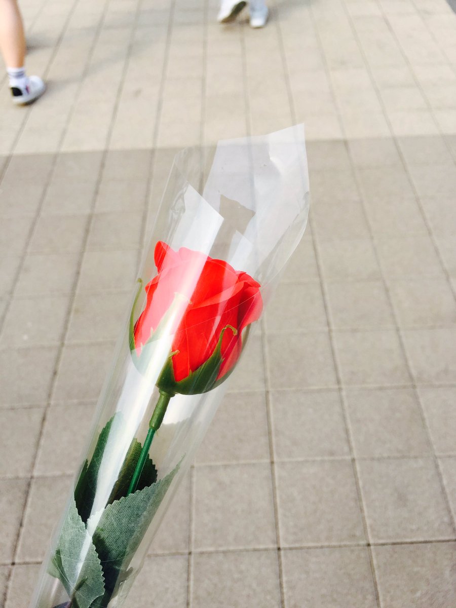 한송이 장미 꽃이 손에 꽃을 두고 기분 Moo_V0613