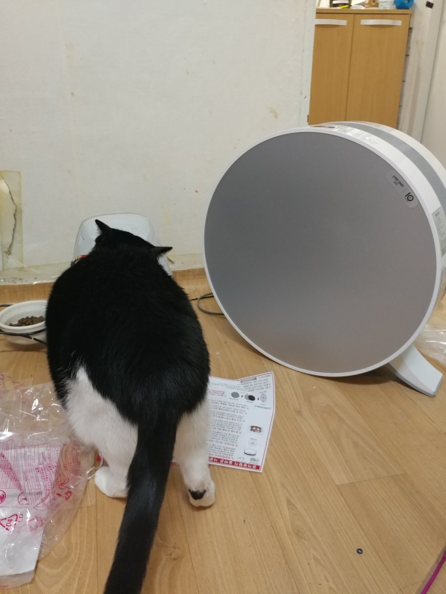 공기청정기 집에 미세먼지 마스크 방에 하루종일 사고 0hyomo0