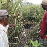 Murder in Belize: Canadian held as person of interest Murder in Belize: Canadian held as person of interest
