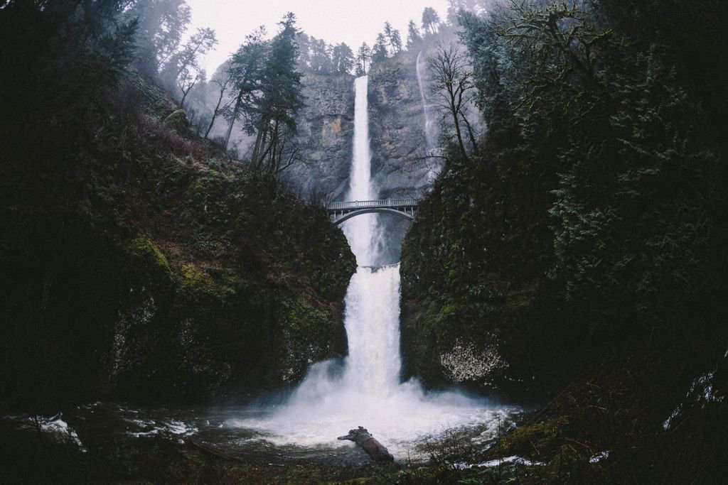 Beautiful waterfall spot over in Oregon.. https://t.co/9hgWbu1reA https://t.co/5sIBEuoPuF