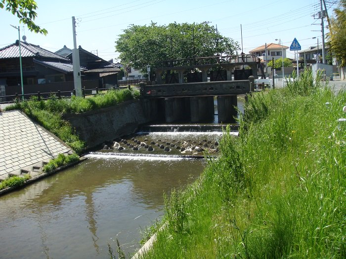 いいですよね 宮河家の空腹でうろちょろした時に何枚か撮ってるんで出てくれるとうれしいです いいですよね 宮河家の空腹でうろちょろした時に何枚か撮ってるんで出てくれるとうれしいです