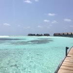 8 bonnes raisons de partir aux Maldives 8 bonnes raisons de partir aux Maldives