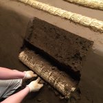 C_l15xpUMAA5zlp.jpg:thumb