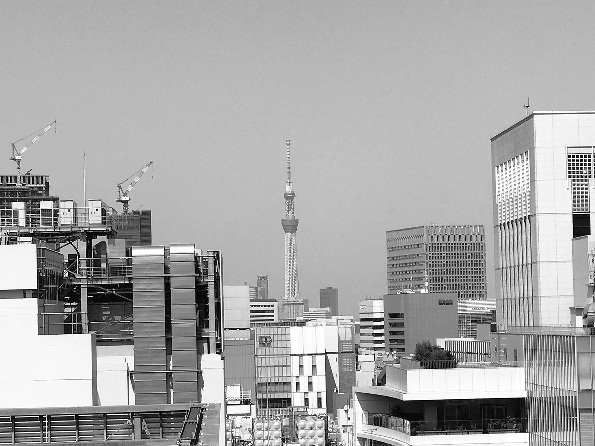 5月12日 金曜日お疲れ様でした😊まだ5月もはじまったばかりですが、ほんの1ヵ月でずいぶんと夏の陽気に(^_^;週末ごゆ 5月12日 金曜日お疲れ様でした😊まだ5月もはじまったばかりですが、ほんの1ヵ月でずいぶんと夏の陽気に(^_^;週末ごゆ