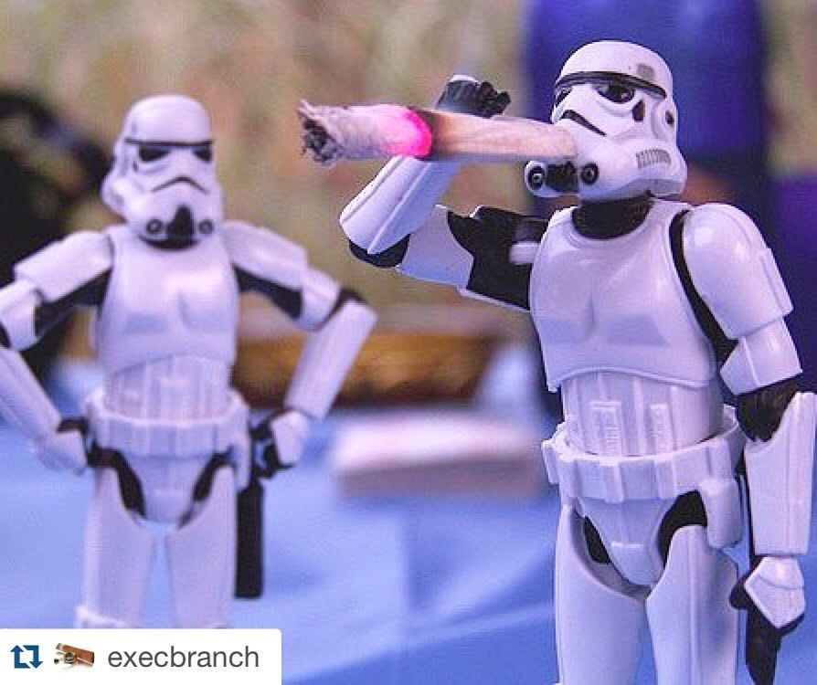 Follow my fam @execbranch ! 
#Repost @execbranch
・・・
#stormsmokers https://t.co/y5b5D88UvL