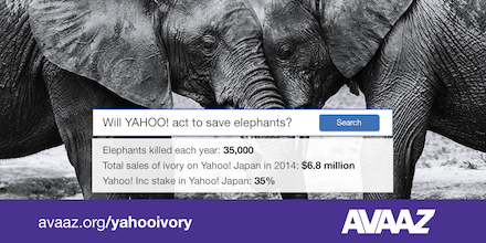 .@marissamayer Ivory sales drive elephants to extinction - end #yahoo #bloodivory https://t.co/93oA10iVy1 https://t.co/BeU6E3yPyQ