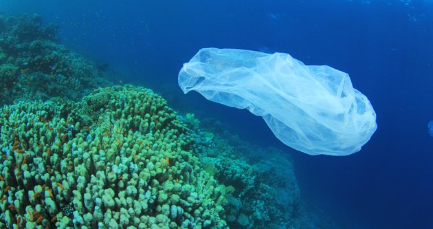 RT @climate_rev: More plastic in the oceans than fish by 2050 unless overfishing moves date up sooner https://t.co/5AYhNh23xE https://t.co/…