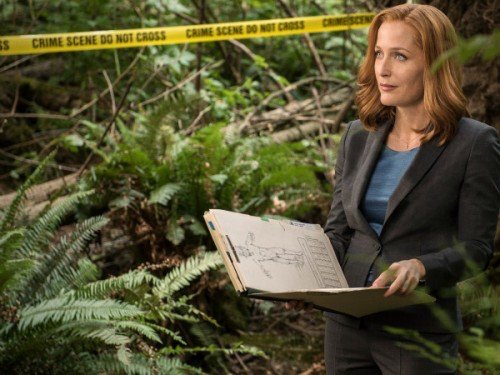 Scully taught me a lot too. :) https://t.co/MrOSKOCm5m @hellogiggles @thexfiles https://t.co/cKIvFaODVX