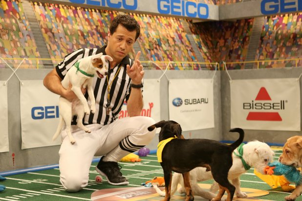 Image result for animal planet puppy bowl