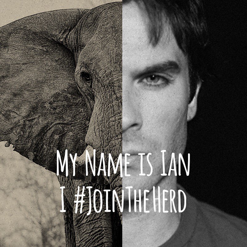Click it;) https://t.co/X45oQSYMJK #JoinTheHerd When the BUYING STOPS, THE KILLING CAN TOO.Make your own photo! https://t.co/Y3EXBE4Jq8