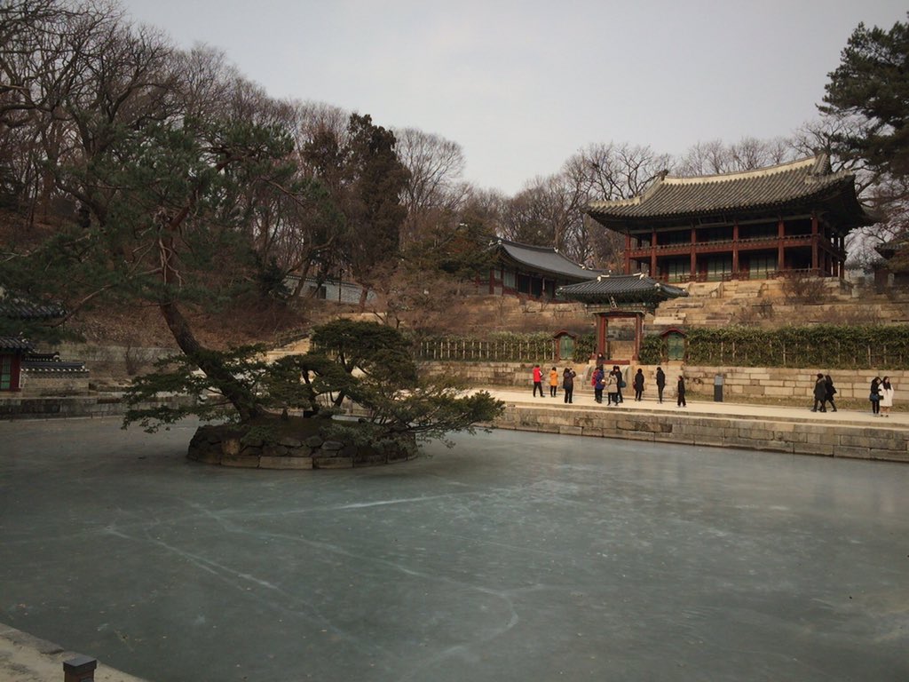 창덕궁 경복궁 카페 동네커피 서울특별시 창경궁 아침 비원 7일에 아빠가 노무현센터 cold_december0