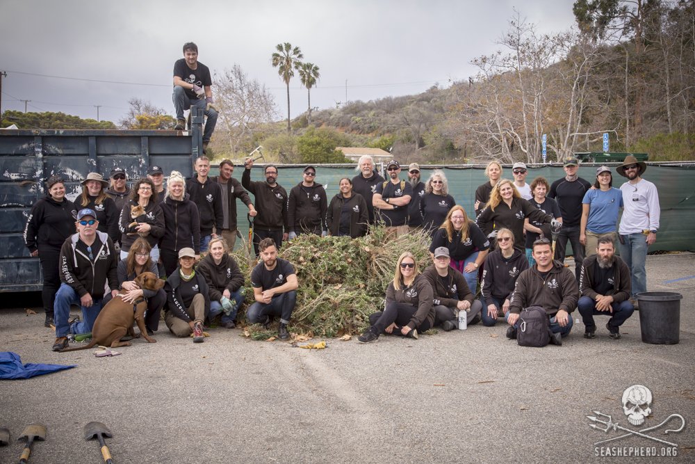 RT @SeaShepherdSSCS: Are you a member of your local #SeaShepherd chapter? Join to help protect our oceans: https://t.co/jLXfPIrKNk https://…