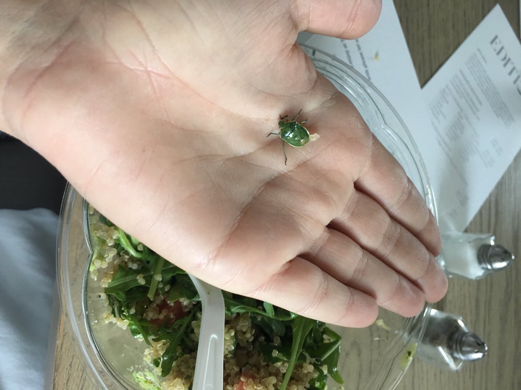 Surprised to see this little guy in my salad, especially in NYC ???? @LePainQuotidien https://t.co/lai6aHm5oU