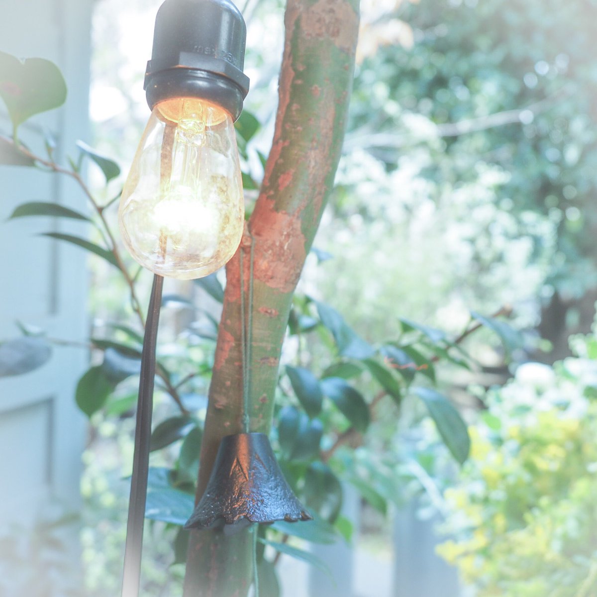 最近はこういう淡くてトトロがでそうなかんじの写真にはまってる次第です。#ファインダー越しの私の世界 #写真好きな人と繋が 最近はこういう淡くてトトロがでそうなかんじの写真にはまってる次第です。#ファインダー越しの私の世界 #写真好きな人と繋が
