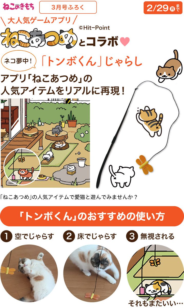 ねこあつめ公式 話題の画像がわかるサイト ページ 3