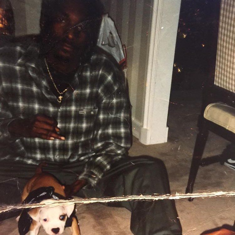 Me and my pit named petey.  95. 21 years ago https://t.co/cMqANfNqlE