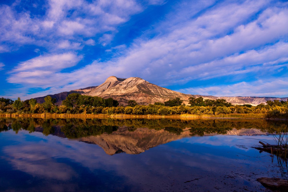 RT @NRDC: Tell @BLM_CO to protect Colorado’s Roan plateau from dangerous oil & gas drilling: https://t.co/psxsRZqx2i https://t.co/22tL2jyvHP