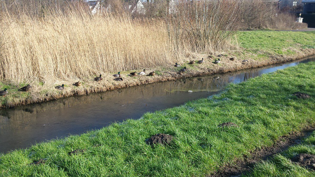 Bron: Jan Vos