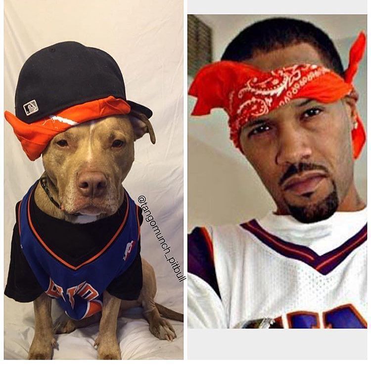 ??? That's my Dogg.  @redmangilla  U c this cuz https://t.co/vybPbMqXgw
