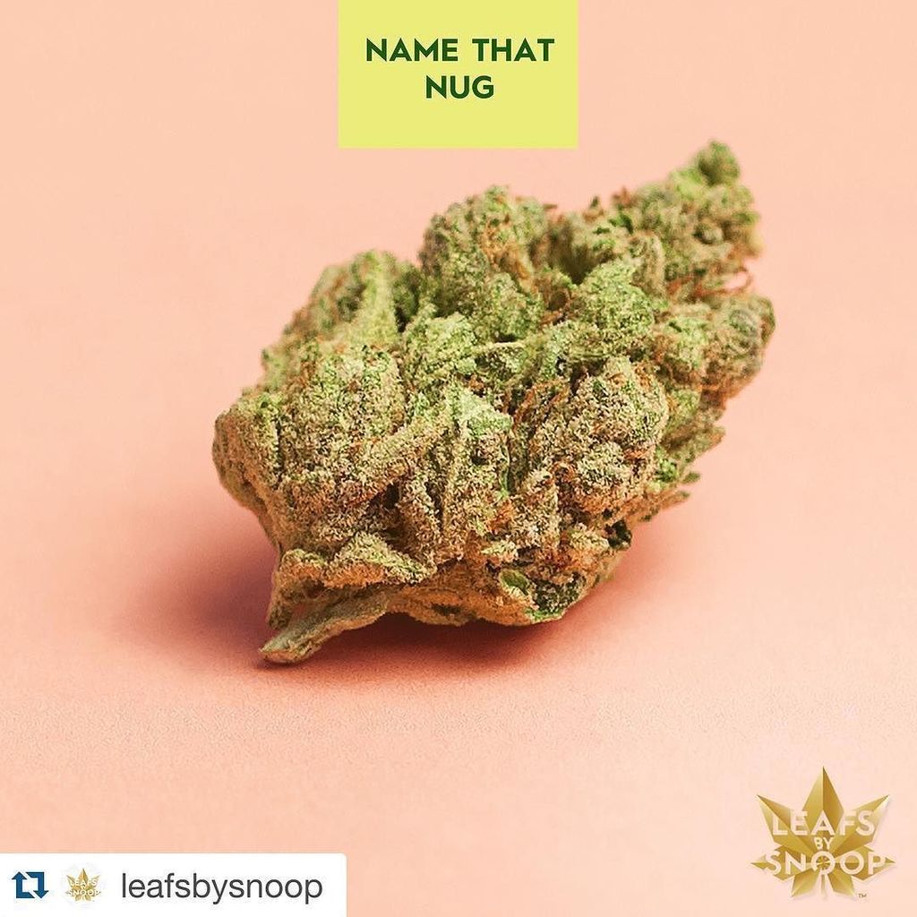 #Repost @leafsbysnoop with @repostapp.
・・・
It's 420 - time to name that nug! #leafsbysnoop https://t.co/5e9cBDT9BU