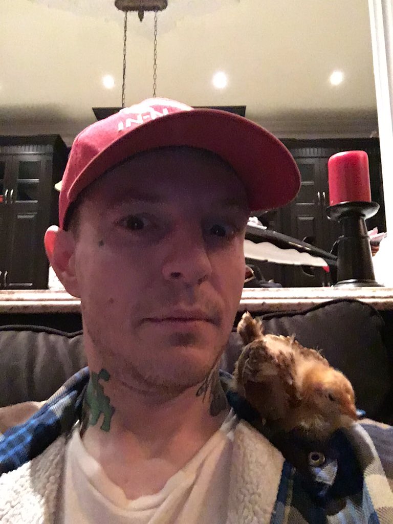Chicken and I. https://t.co/VHc3rbskVX