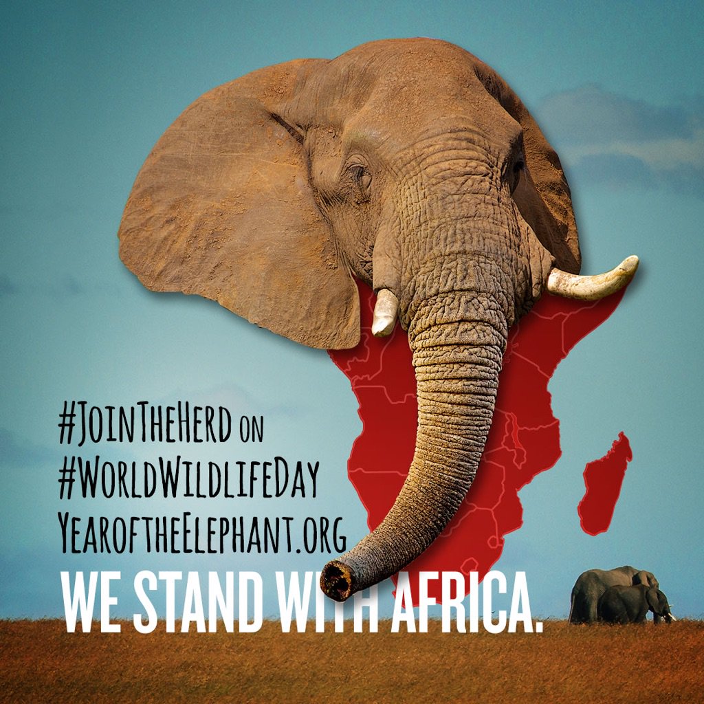 On #WorldWildlifeDay I stand with elephants & the people of Africa who ❤️ them. #JoinTheHerd https://t.co/ehVnZU2dd1 https://t.co/vHE0uGKYfX