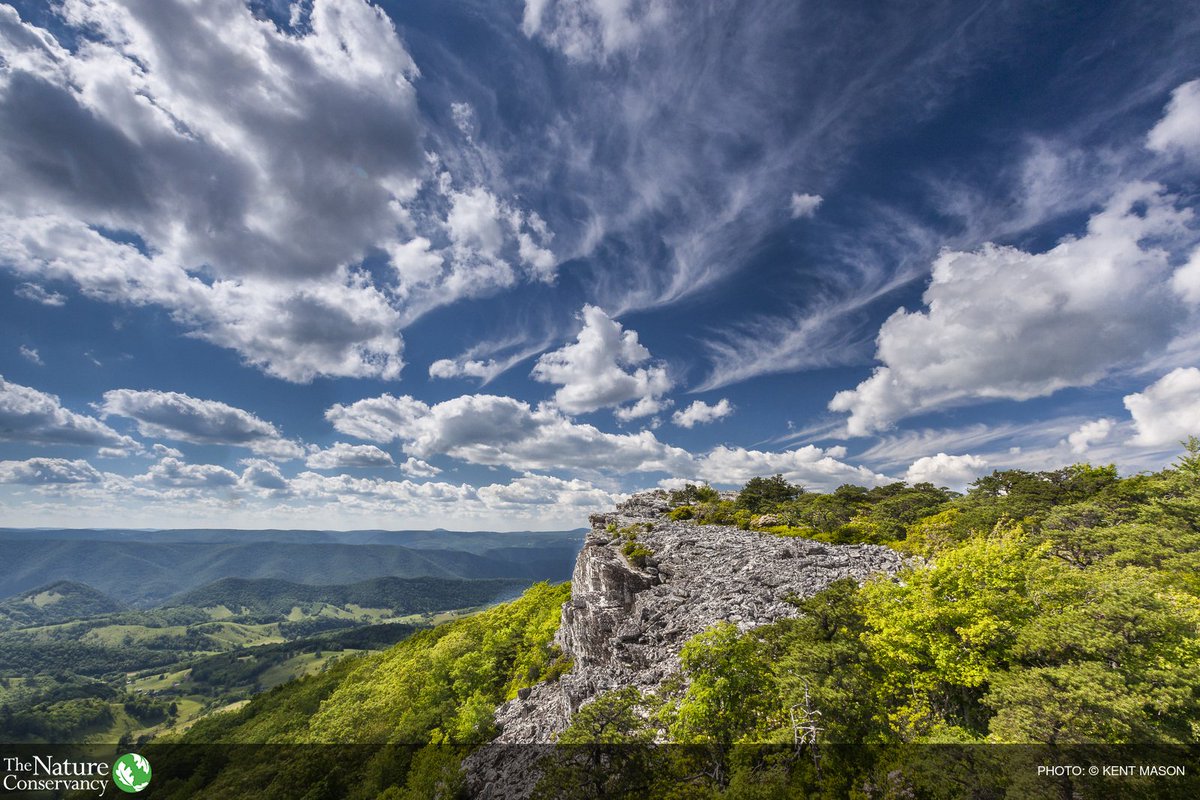 RT @nature_org: Nature has regulated #climatechange for millennia. It’s the forgotten climate solution. https://t.co/RtwbWwJem4 https://t.c…