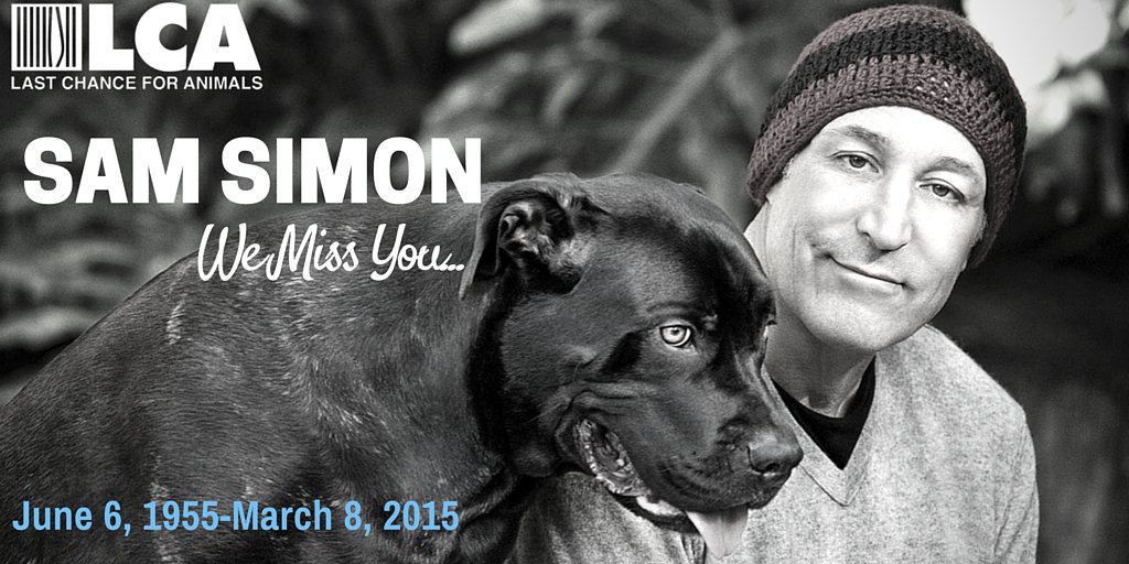 RT @LC4A: On this one year anniversary of his passing, we remember Sam Simon.
We miss you, Sam! https://t.co/WTUWRZgS2d