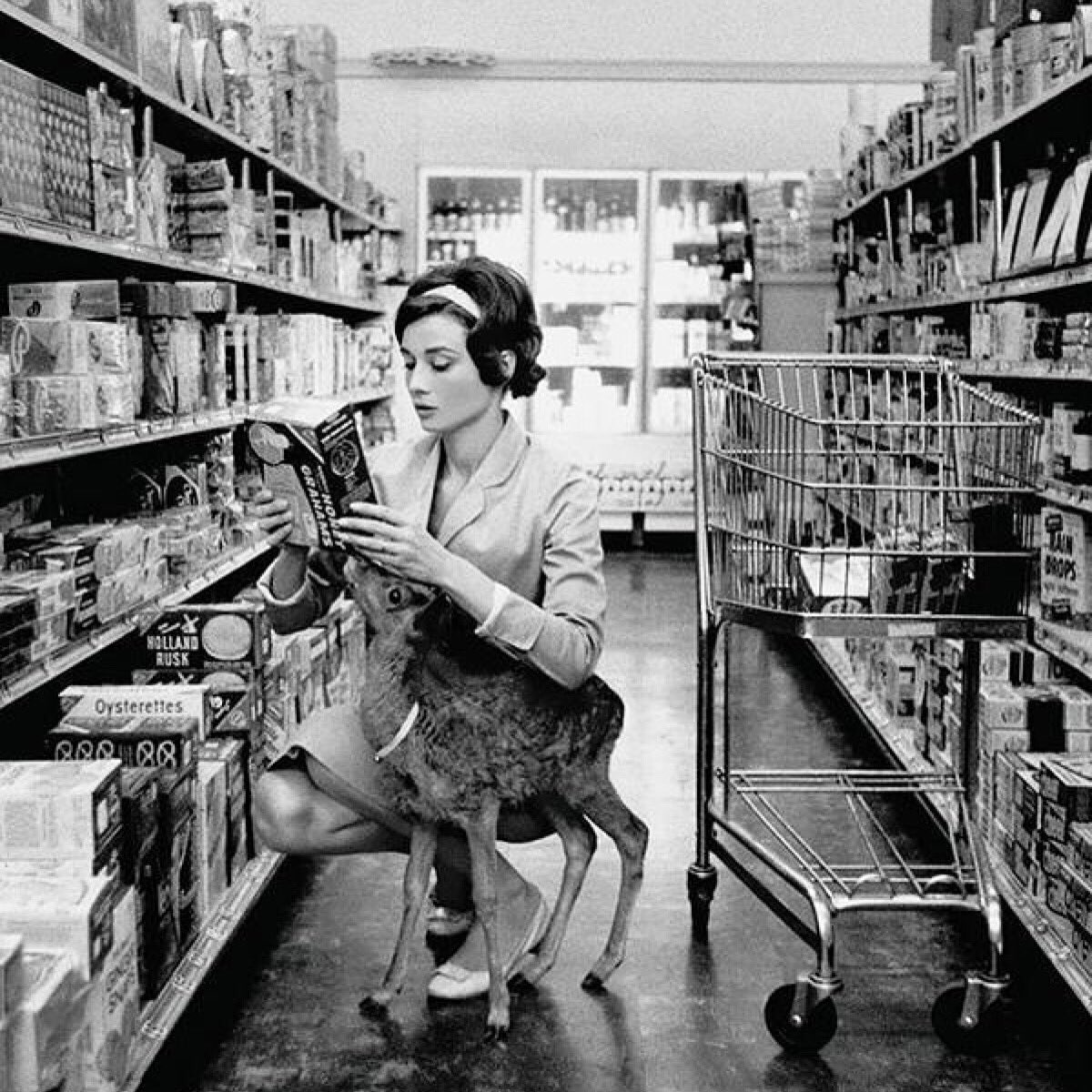 #AudreyHepburn...ya know...in a supermarket...with her pet deer. ???? #MondayMuse https://t.co/1SwLIXlTOR