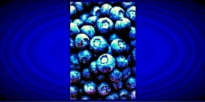 #Blueberries, #ConcordGrapeJuice, Flavanoids Baby! https://t.co/bWO6j29gTo by @rqui https://t.co/L8IEsYozOI