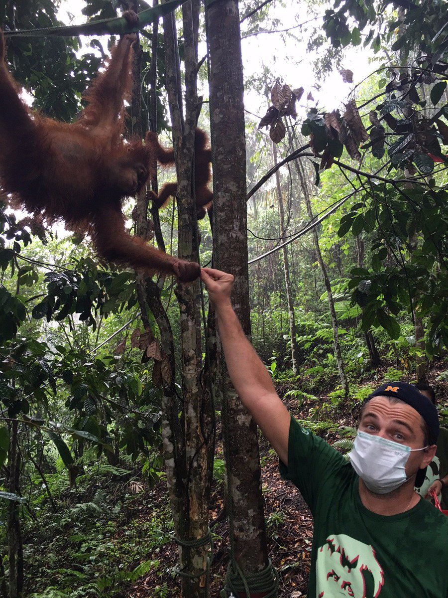 .@socp_tweets rescues and rehabilitates these amazing creatures. Support them at https://t.co/QBkLh0V81Z https://t.co/HqEoF1vbnV