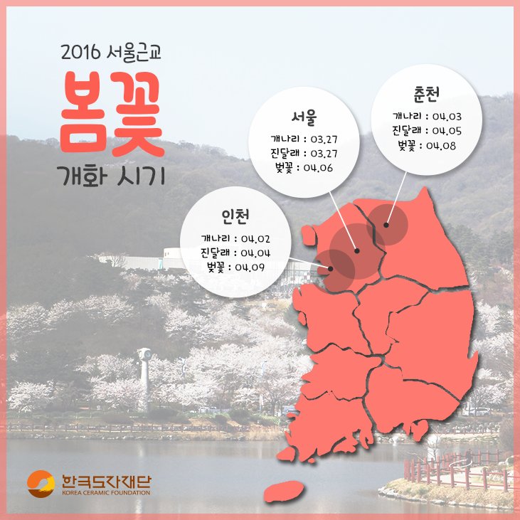 벚꽃 개화시기 2016년 봄꽃 4월 전국 3월 봄바람 명소 흩날리는 꽃이 부산 휘날리며 kocef