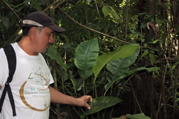 RT @RnfrstAlliance: We offer this tribute to Walter Méndez Barrios, killed for his work in sust development:  https://t.co/eU3zLca1Un https…