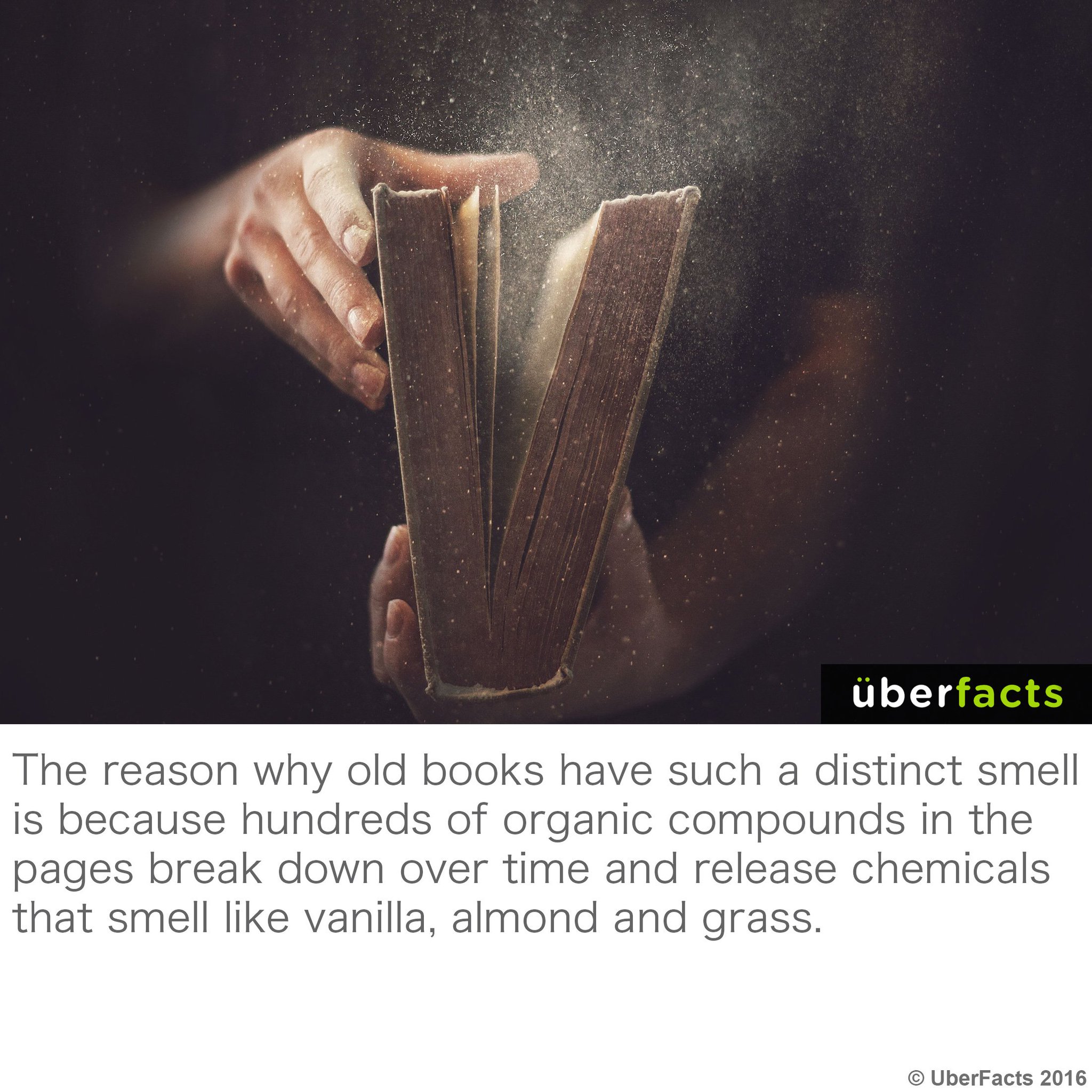 that old book smell that old book smell