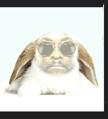 RT @Wills_Princess1: @iamwill awww #bunnytime ???? ???? #thevoiceuk Happy Easter Will ❤ https://t.co/5qo8Q9JuUx