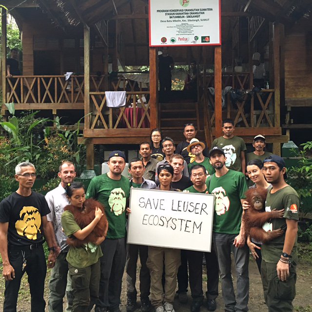 Let's work together to #SaveLeuserEcosystem, a biodiversity hotspot. Stand up at https://t.co/dWdlp1d81c https://t.co/LEZUU8Any8