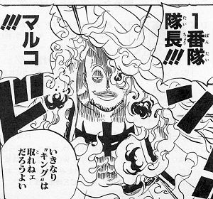 16年3月のブログ記事一覧 僕と契約してワンピース803話ミンク族ネタバレ 確定予想 になってよ