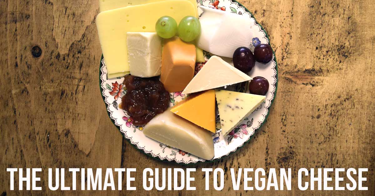 RT @PETAUK: We think it’s time you tried #vegan cheese. 
https://t.co/NxR0YhqvoS https://t.co/VlVTeuw2ZW