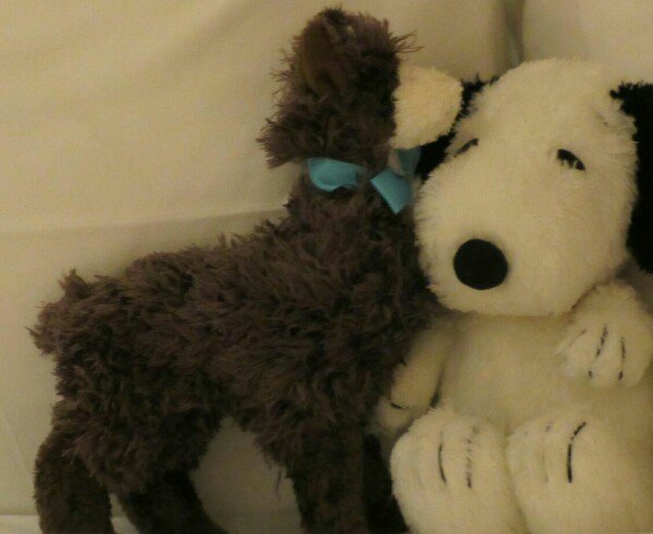verite_office: Llama named Louie(got at @classyllama booth today) and Snoopy are good friends! n #MagentoImagine #SNOOPY https://t.co/SmNtYPIkaj