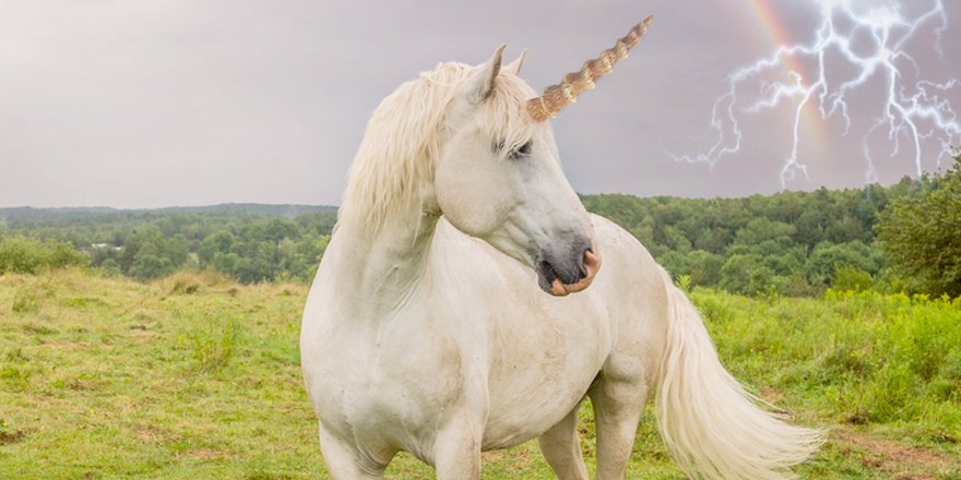 Unicorns are real, but not as pretty as you think — see the proof