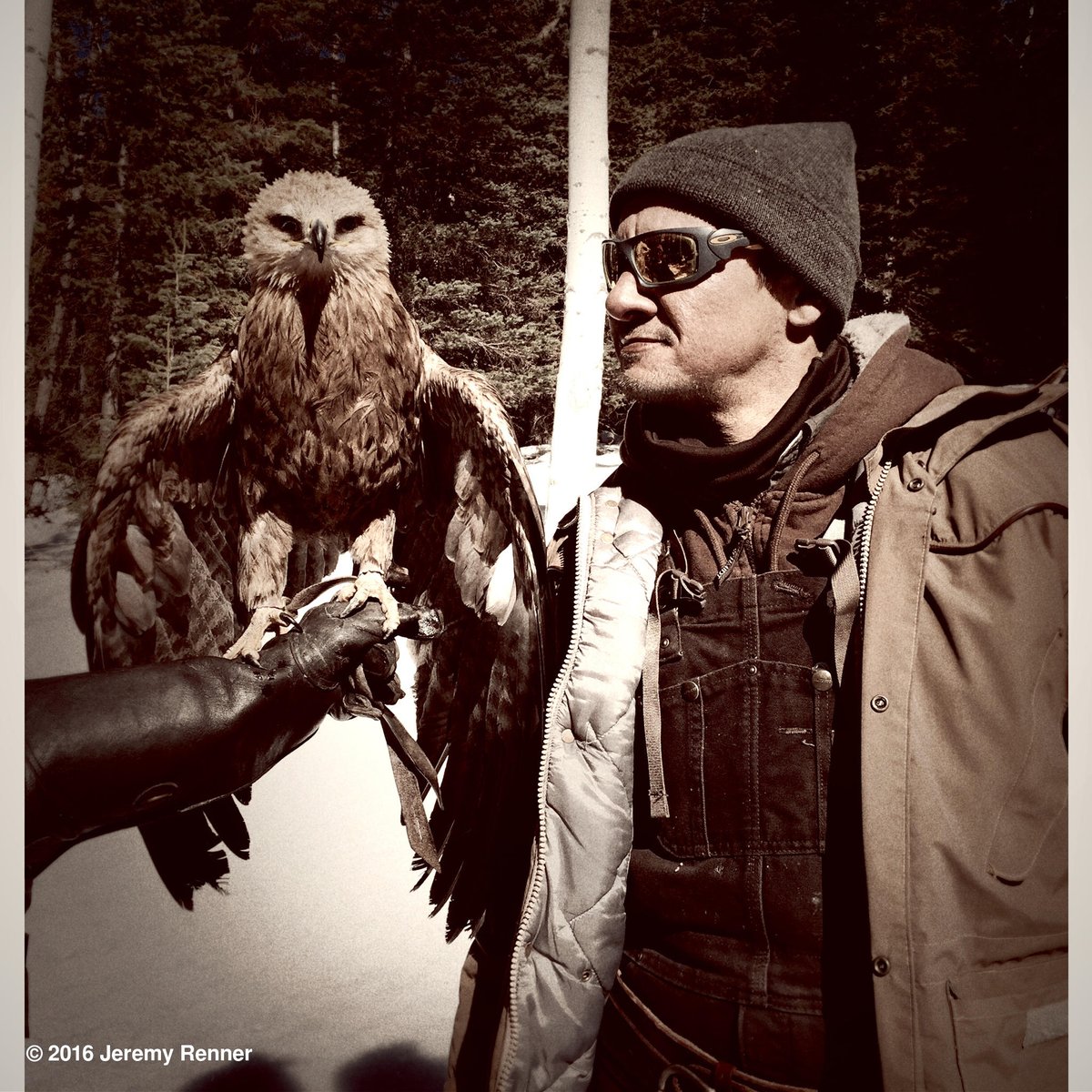 Meet ECHO... We got along famously #eagle #teamhawkeye #hawkeye #teamcapgotbigger #setlife #marvel https://t.co/hNpJv7lAe0