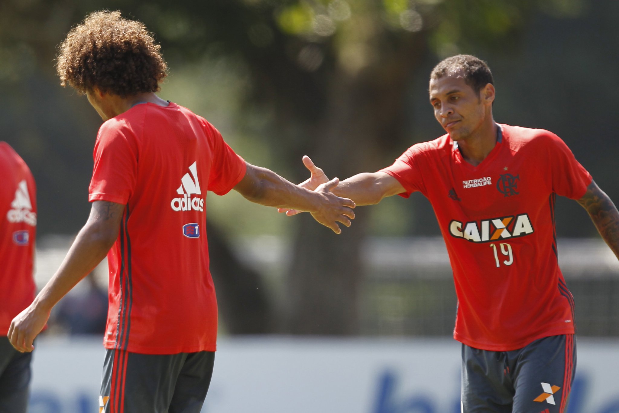 Resultado de imagem para Willian Arão e Alan Patrick Flamengo